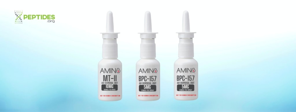 Amino Asylum Review